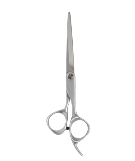 Transform 6.25 Shear