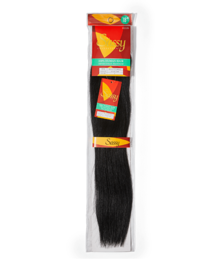 Silky Straight Jet Black 18 Inch Human Hair Extension
