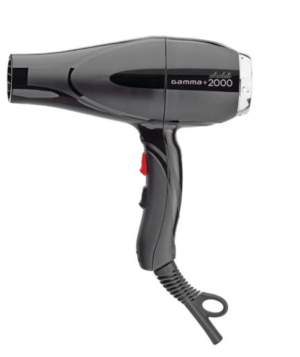 Absolute 2000 Black Dryer