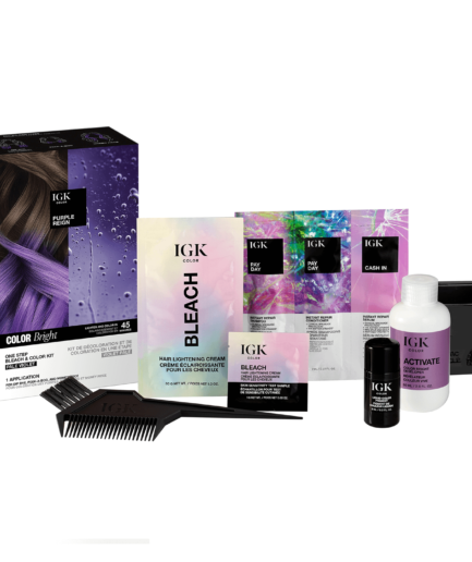 Purple Reign One Step Bleach & Color Kit